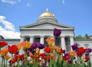 The Vermont State House in Spring